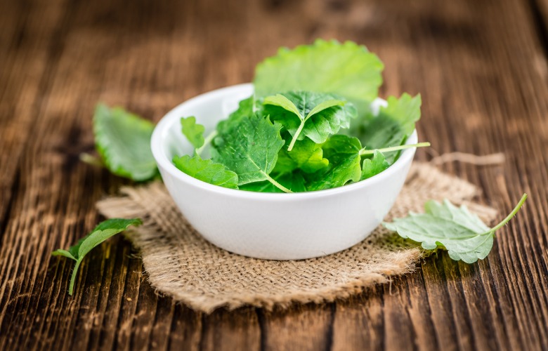 6 Popular Herbs for Health and Wellness
