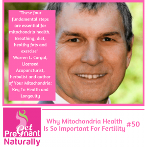 Why Mitochondria Health is so Important for Fertility