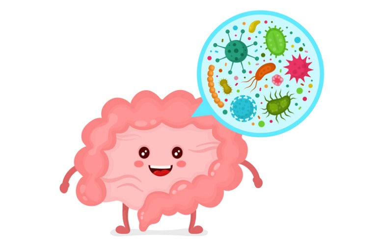 Your Gut Microbiome and Your Health