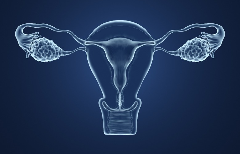 Lifestyle Changes that Can Stop Endometriosis & Fibroid Symptoms