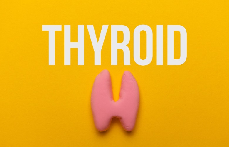 Your Gut Microbiota and Your Thyroid