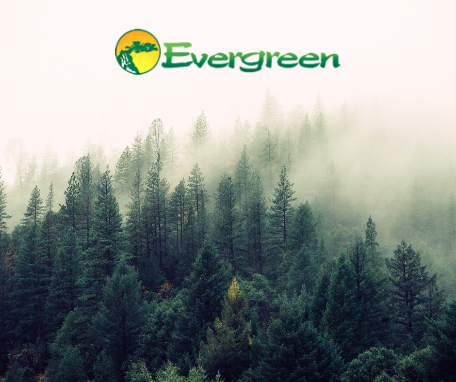 New brand added! Evergreen herbs